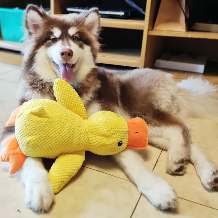Cute Quacking Duck Plush Toy