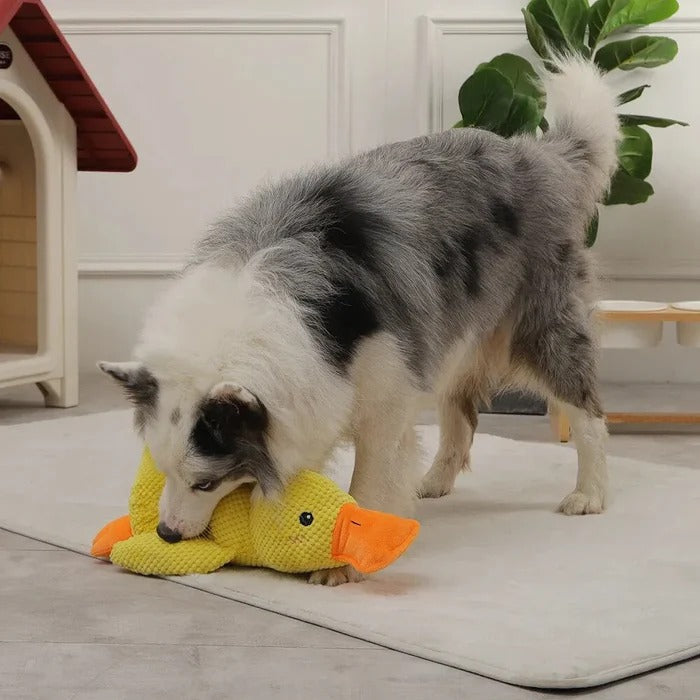 Cute Quacking Duck Plush Toy
