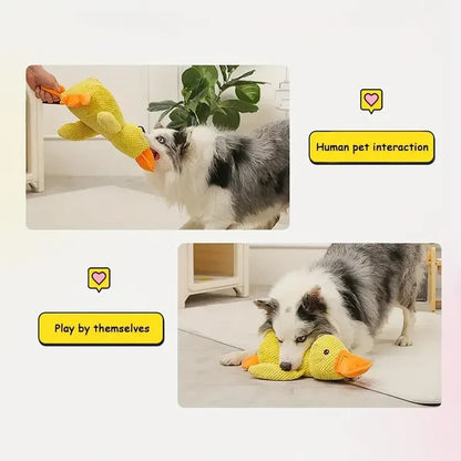 Cute Quacking Duck Plush Toy