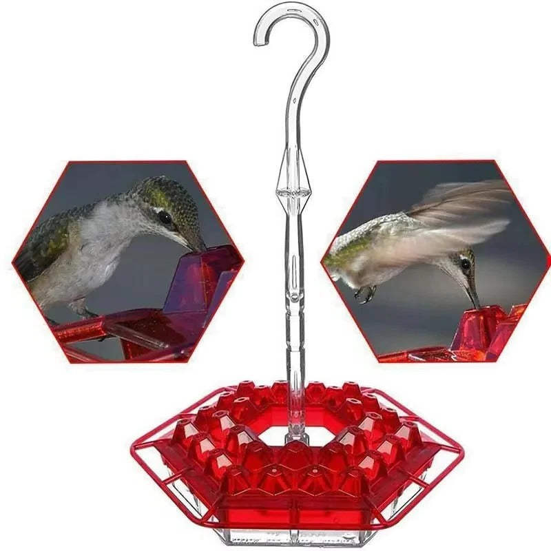 Hummingbird Feeder with Ant Moat for Outdoor Garden – 30 Flower Ports, Weather Resistant, Easy Fill Design for Backyard Bird Feeding