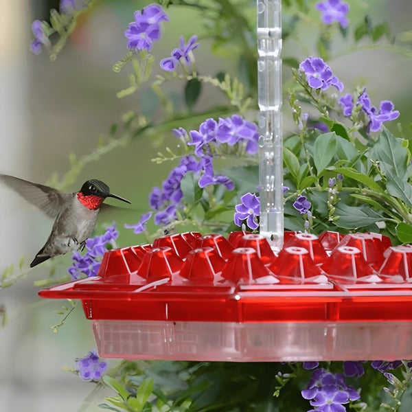 Red Glass Hummingbird Feeder 30 Feeding Ports Clear Reservoir with Ant Moat Hook for Backyard Garden Patio Outdoor Bird Watching