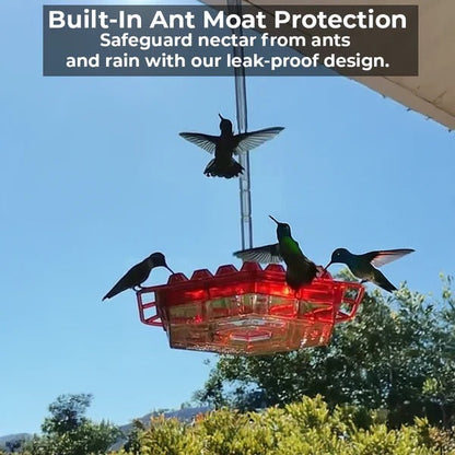 Colorful Bird Feeder with 30 Feeders and 12oz Capacity