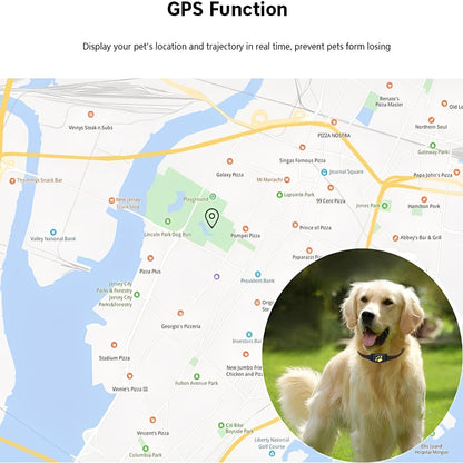 Smart Pet Tracker Collar with Live GPS Location