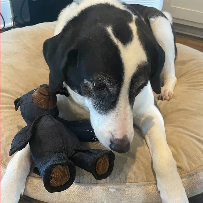 Strong Teddy Guard Dog Toy