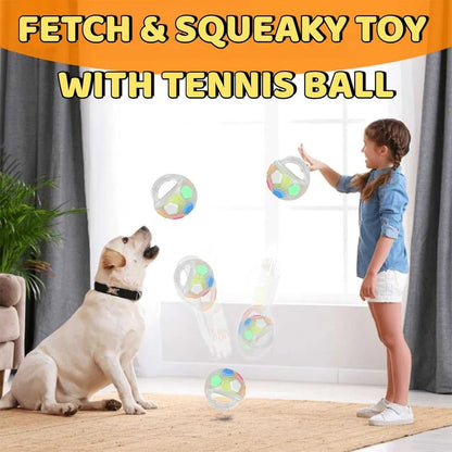 Durable Dog Rubber Football Toy with Treat Dispenser