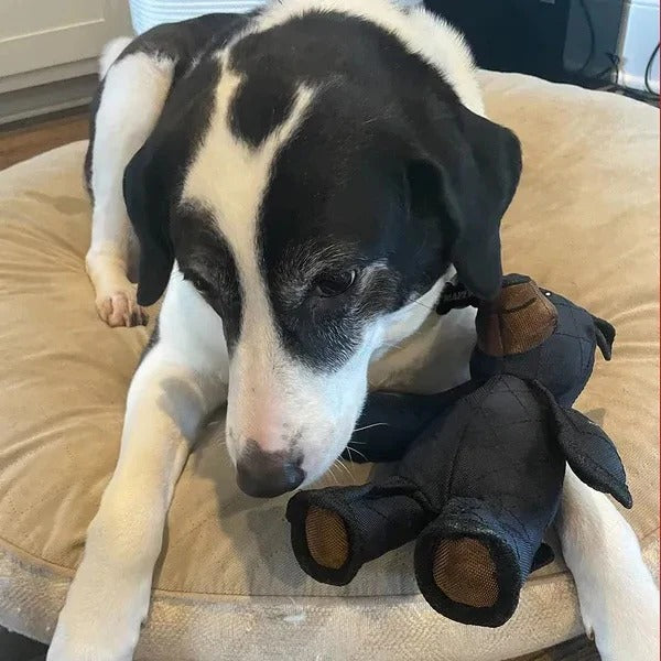 Fun Plush Squeaky Dog Toy