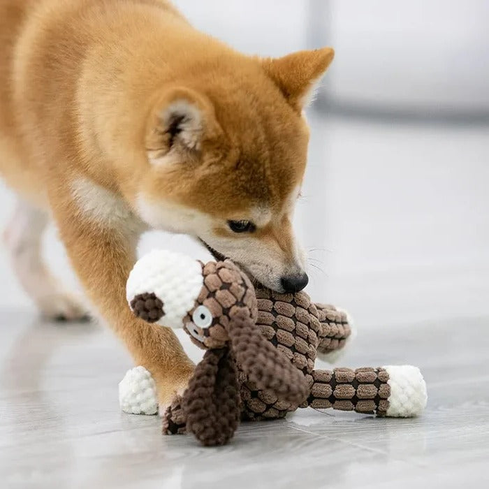 Durable Interactive Pet Toy