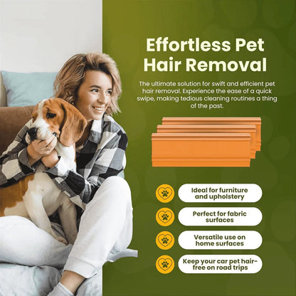 Pet Hair Removal Tool for Cars and Home Furniture