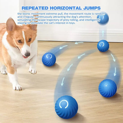Fun Remote Control Rolling Ball Toy