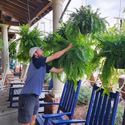 Outdoor Realistic Green Fern Plant Decoration