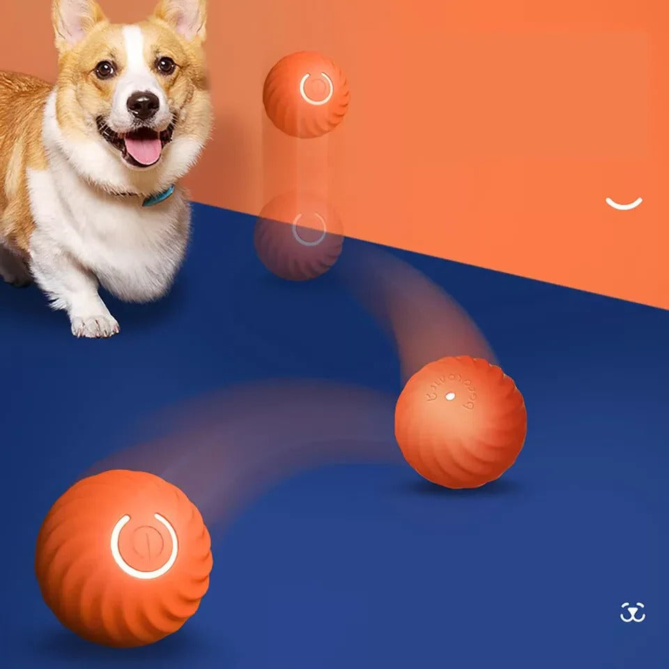 Fun Remote Control Rolling Ball Toy