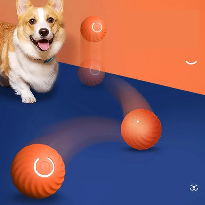 Fun Remote Control Rolling Ball Toy