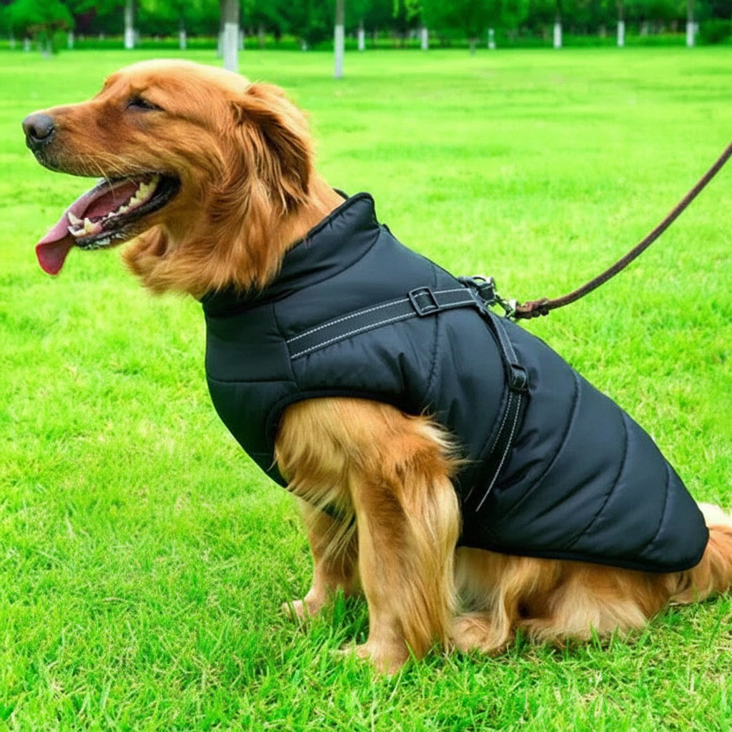 Warm Insulated Dog Coat with Fleece and Built-in Harness