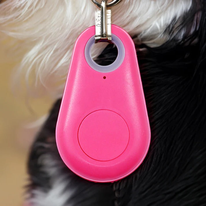 Bluetooth Pet Locator Tag for Dogs & Cats – Waterproof GPS Finder with Proximity Alerts, Safe Zone Notifications & Real-Time Tracking App
