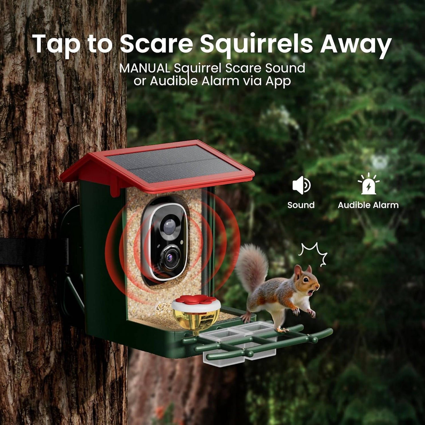 Wireless Bird Feeder Cam with Solar 2K Video