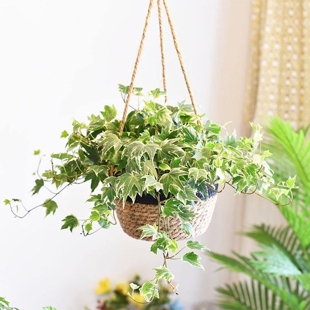 Hanging Planter Basket