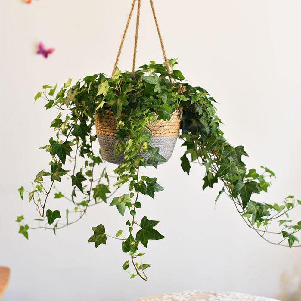 Hanging Planter Basket