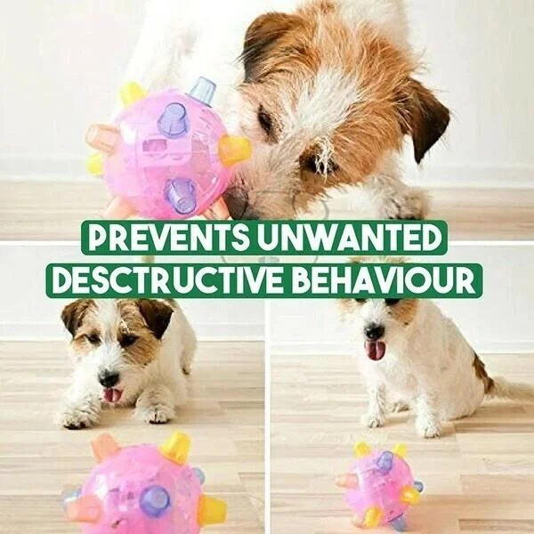 Motion-Activated Dog Toy Ball with LED Lights and Sounds for Indoor Play and Exercise