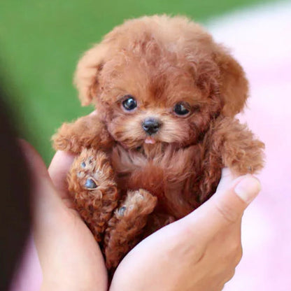 Animated Electronic Dog Toy with Touch Sensors and Realistic Movements for Children and Grown-Ups