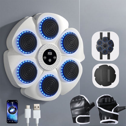 Wall-Mount Reaction Training Pad with LED Lights & Music for Home Workouts | Boxing Reflex Target Board for Kids & Adults | USB