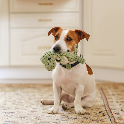 Dinosaur Dog Chew Toy - Heavy Duty Plush for Aggressive Chewers - Dental Care & Interactive Play for Puppies & Large Dogs