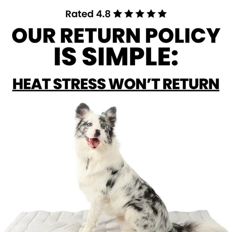 Self-Activating Pet Bed Pad for Dogs – Heat-Dissipating Resting Surface with Machine Washable Fabric & Portable Design