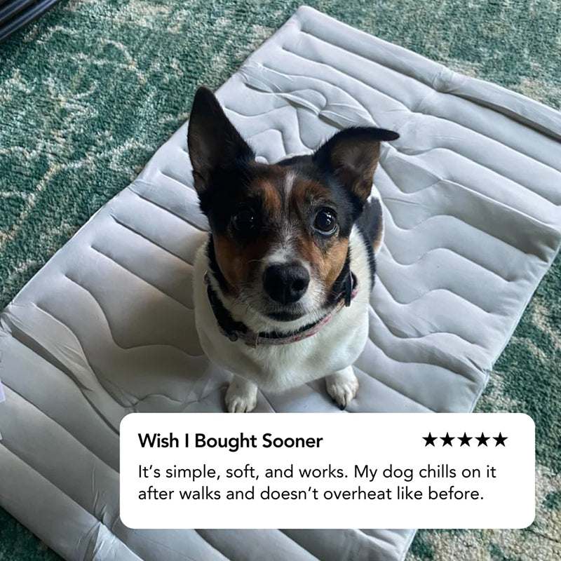 Self-Activating Pet Bed Pad for Dogs – Heat-Dissipating Resting Surface with Machine Washable Fabric & Portable Design