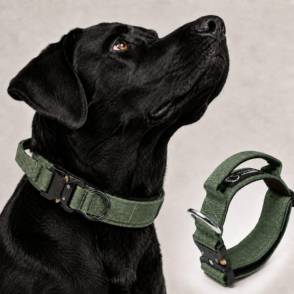 Ortekor Large Dog Tactical Collar with Control Handle - Secure Grip for Walks, Training & Strong Pullers