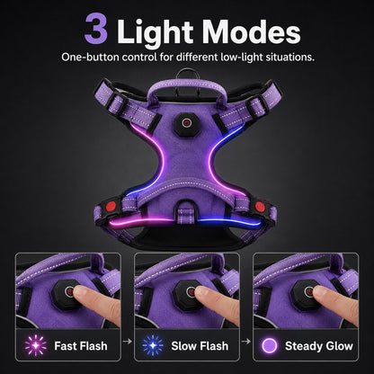 Ortekor Rechargeable LED Dog Harness for Night Walks - Back-Panel Glow & Reflective Webbing for Better Low-Light Visibility