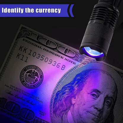 Compact UV Flashlight | LED Inspection Lamp for Stain Detection | Portable Tool for Home Cleaning