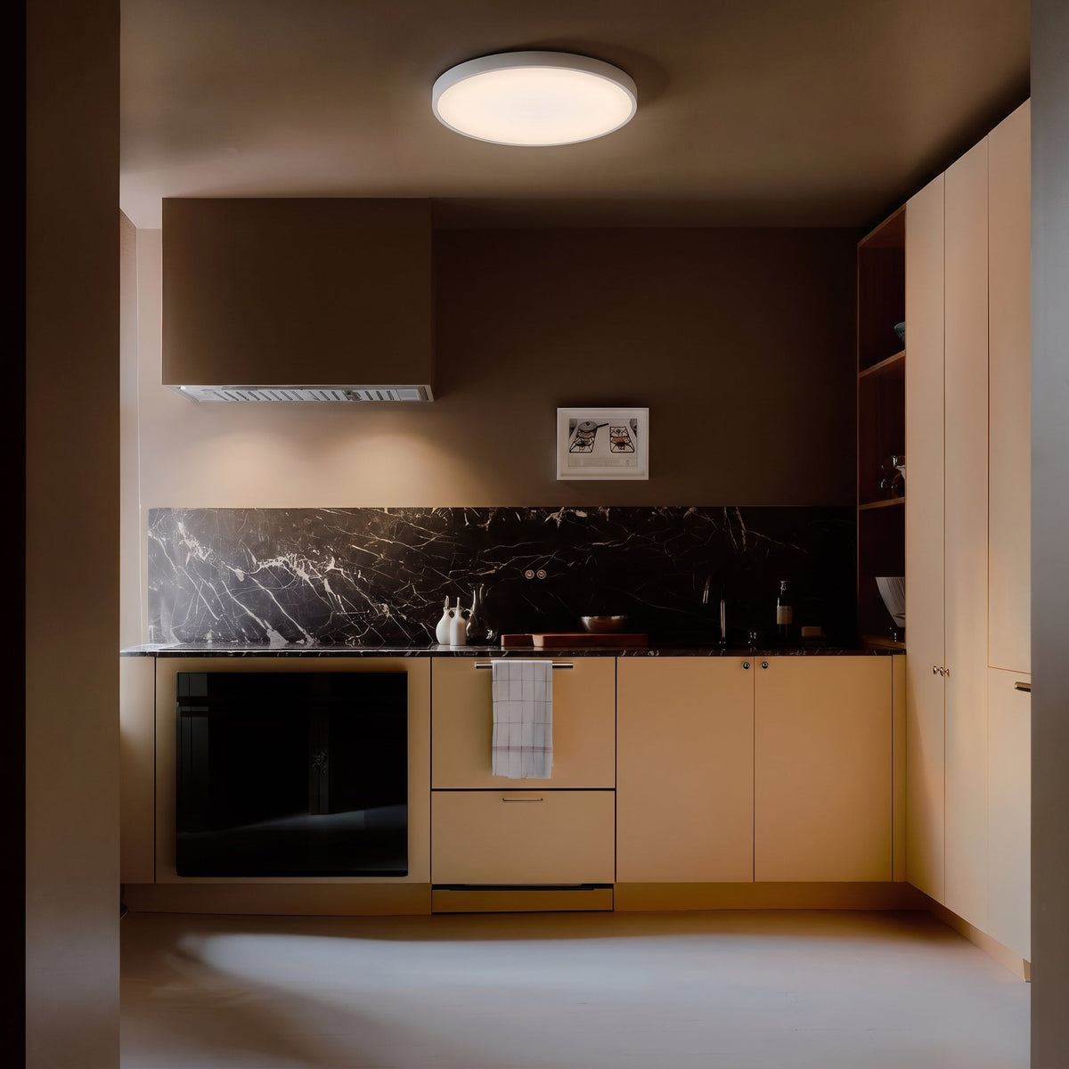 Ultra-Slim LED Ceiling Light Flush Mount Modern Minimalist Design for Bedroom Kitchen Living Room Black White 9 10.5 14.5 Inch