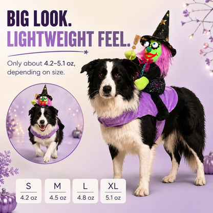 Ortekor 3D Witch Rider Halloween Pet Costume for Trick-or-Treating, Parties & Photos – Instant Funny Look for Dogs & Cats