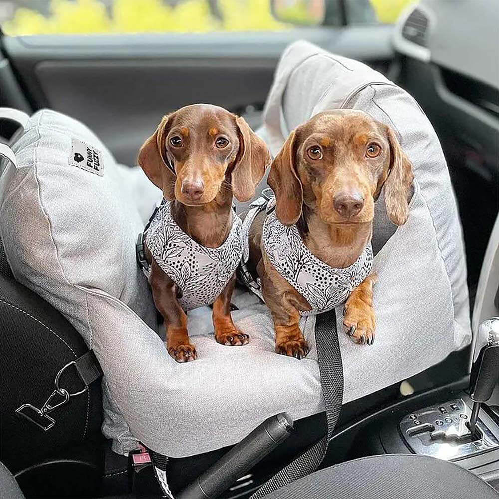 Portable Pet Carrier Booster Seat with Safety Harness and Washable Cover for Small Dogs