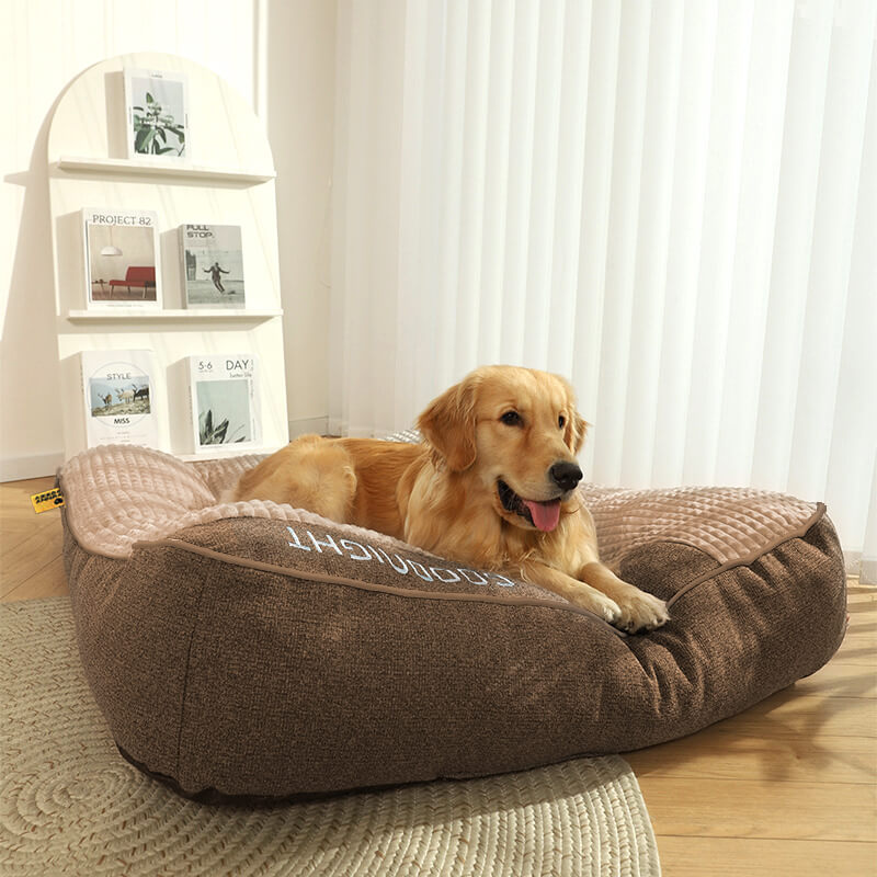 Elevated Edge Pet Bed with Raised Bolster – Plush Velour Orthopedic Dog Sleeping Mat for Joint Support, Removable Washable Cover, Medium