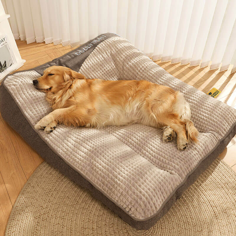 Elevated Edge Pet Bed with Raised Bolster – Plush Velour Orthopedic Dog Sleeping Mat for Joint Support, Removable Washable Cover, Medium