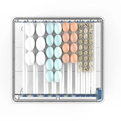 Automatic Egg Incubator with Digital Display & Auto-Turner for Chickens, Ducks & Poultry – 15, 24 or 36 Egg Capacity Home Hatcher for