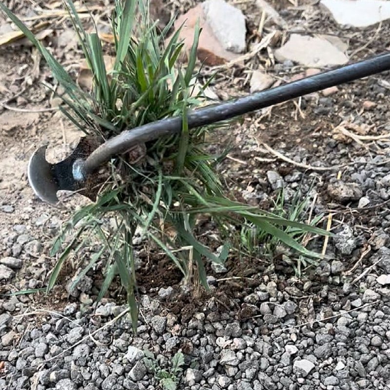 Stand-Up Weeding Tool with Ergonomic Grip – Metal Garden Weeder for Flower Beds, Pathways & Lawns – Precision Root Removal