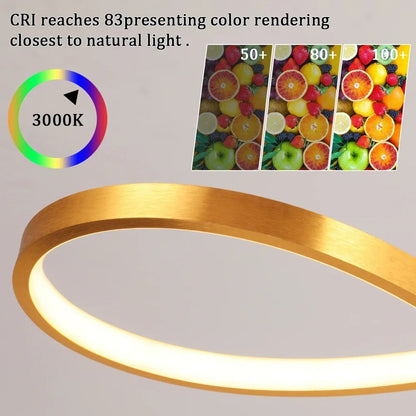 Circular Aluminum Ceiling Fixture Dimmable LED 30 in Ring Hanging Light for Dining Table Kitchen Island Modern Overhead Chandelier with Remo
