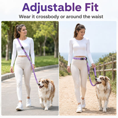 Ortekor Hands-Free Shock-Absorbing Dog Leash for Running, Walking & Car Travel - Bungee Leash Helps Reduce Pulling