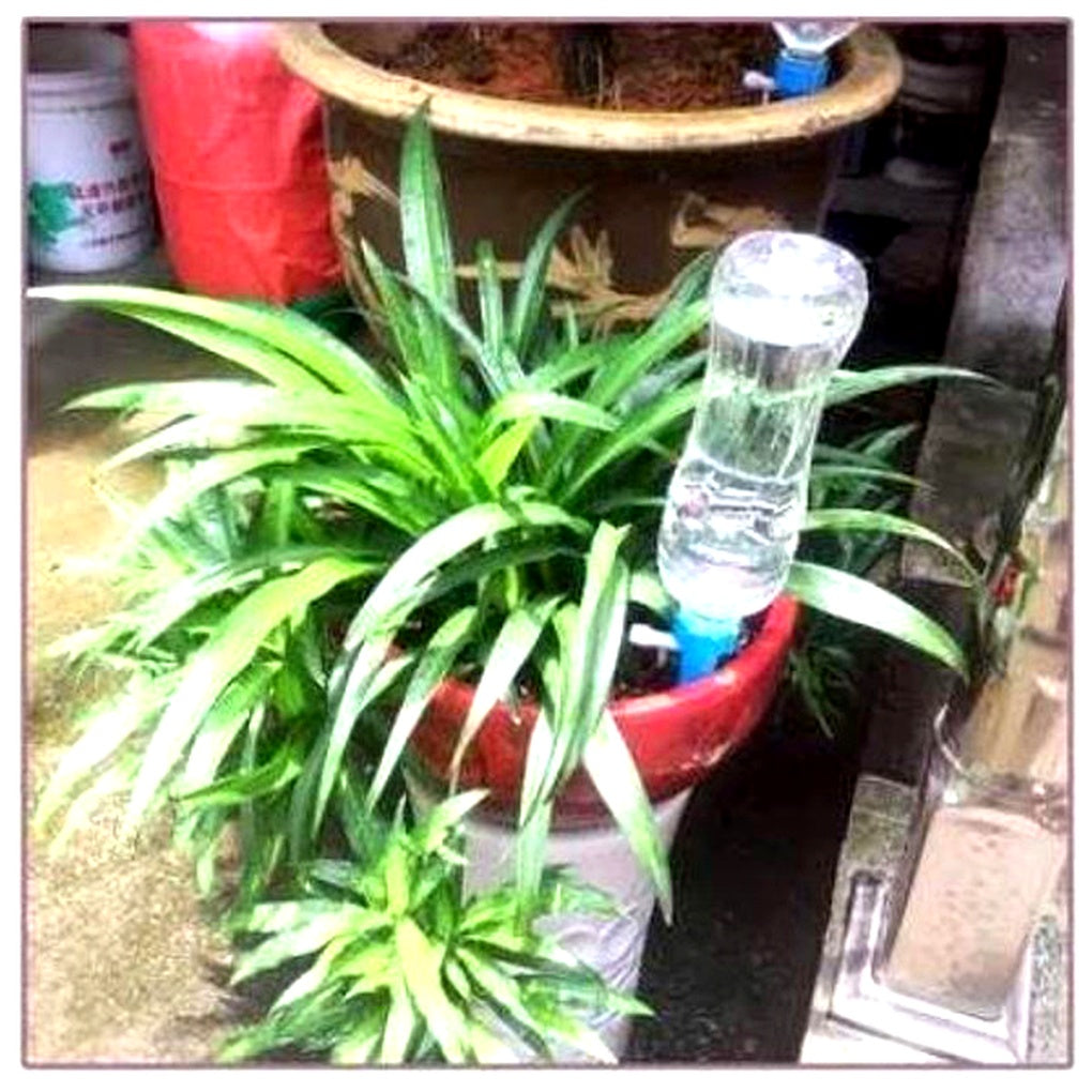 Drip Irrigation Stakes for Potted Plants – Slow Release Watering System with Adjustable Flow Control for Indoor & Outdoor Gardens