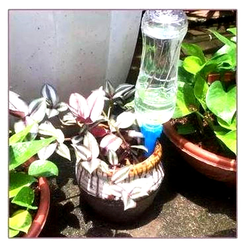 Drip Irrigation Stakes for Potted Plants – Slow Release Watering System with Adjustable Flow Control for Indoor & Outdoor Gardens