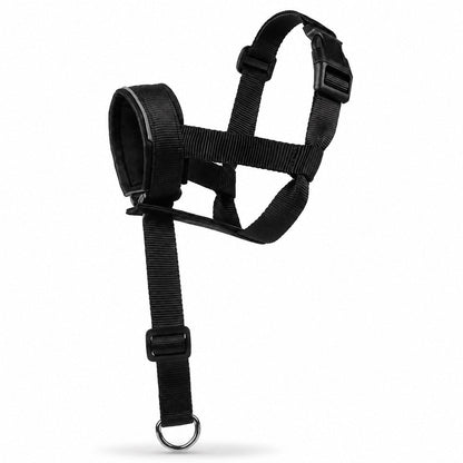 Ortekor No-Pull Dog Head Halter for Daily Walks - Adjustable Padded Training Muzzle to Help Reduce Pulling