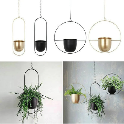 Wall-Mount Iron Planter 8 Inch Modern Floating Circle Halo Design for Succulents Herbs Indoor Outdoor Display Space-Saving Balcony Patio Apa