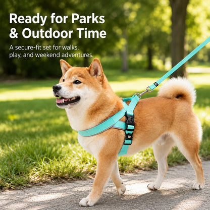 Ortekor Quick-Fit Lightweight Dog Harness & Leash Set for Daily Walks - No-Choke Step-In Comfort with Secure Buckle & Back Control Handle