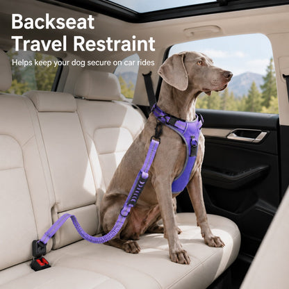 Ortekor Reflective Dog Car Seat Belt Leash for Backseat Travel & Daily Walks - Shock-Absorbing Bungee Tether to Help Reduce Pulling & Driver Distraction