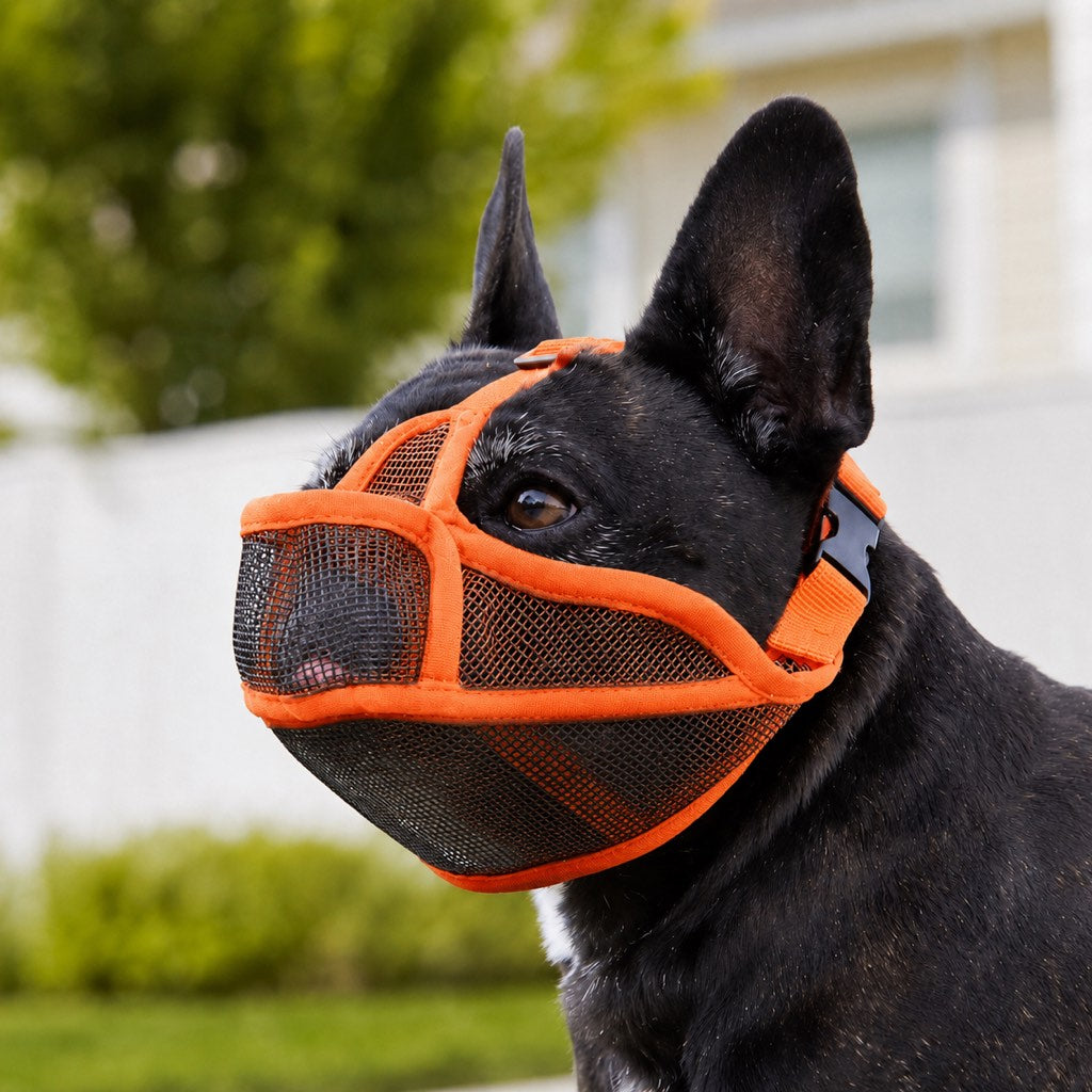Ortekor French Bulldog Breathable Mesh Muzzle for Walks, Grooming & Scavenging Control - Drink-Friendly Short-Snout Dog Muzzle
