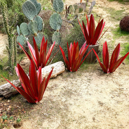 Metal Succulent Sculpture Weather-Resistant Agave Yard Art for Gardens Patios Desert Landscaping Indoor Outdoor Accent Rustic Handcrafted Ir