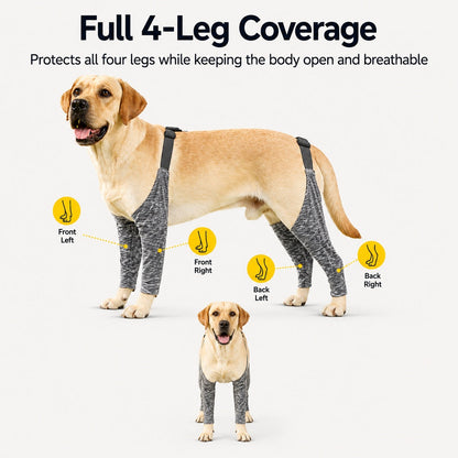 Ortekor 4-Leg Outdoor Dog Sleeves for Walks - Helps Keep Legs Cleaner
