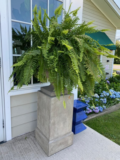 Hanging Faux Fern Plant Set – UV-Proof Outdoor Greenery 18-Piece Waterproof Vine Bundle for Patio Pergola Fence Garden Porch Decor Indoor