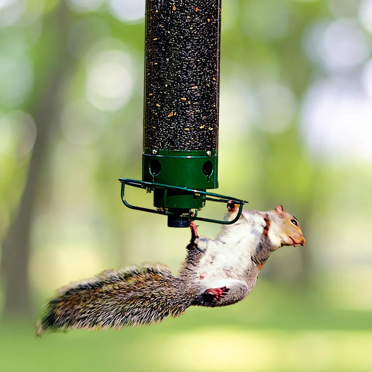 Weight-Activated Spinning Bird Feeder for Backyard Wildlife Watching Wild Songbird Seed Station Hanging Metal Outdoor Garden Feeding Station